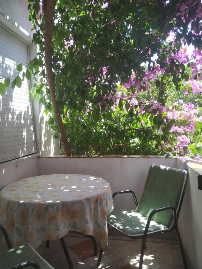 Apartmani Abeona Budva Eksteriør billede